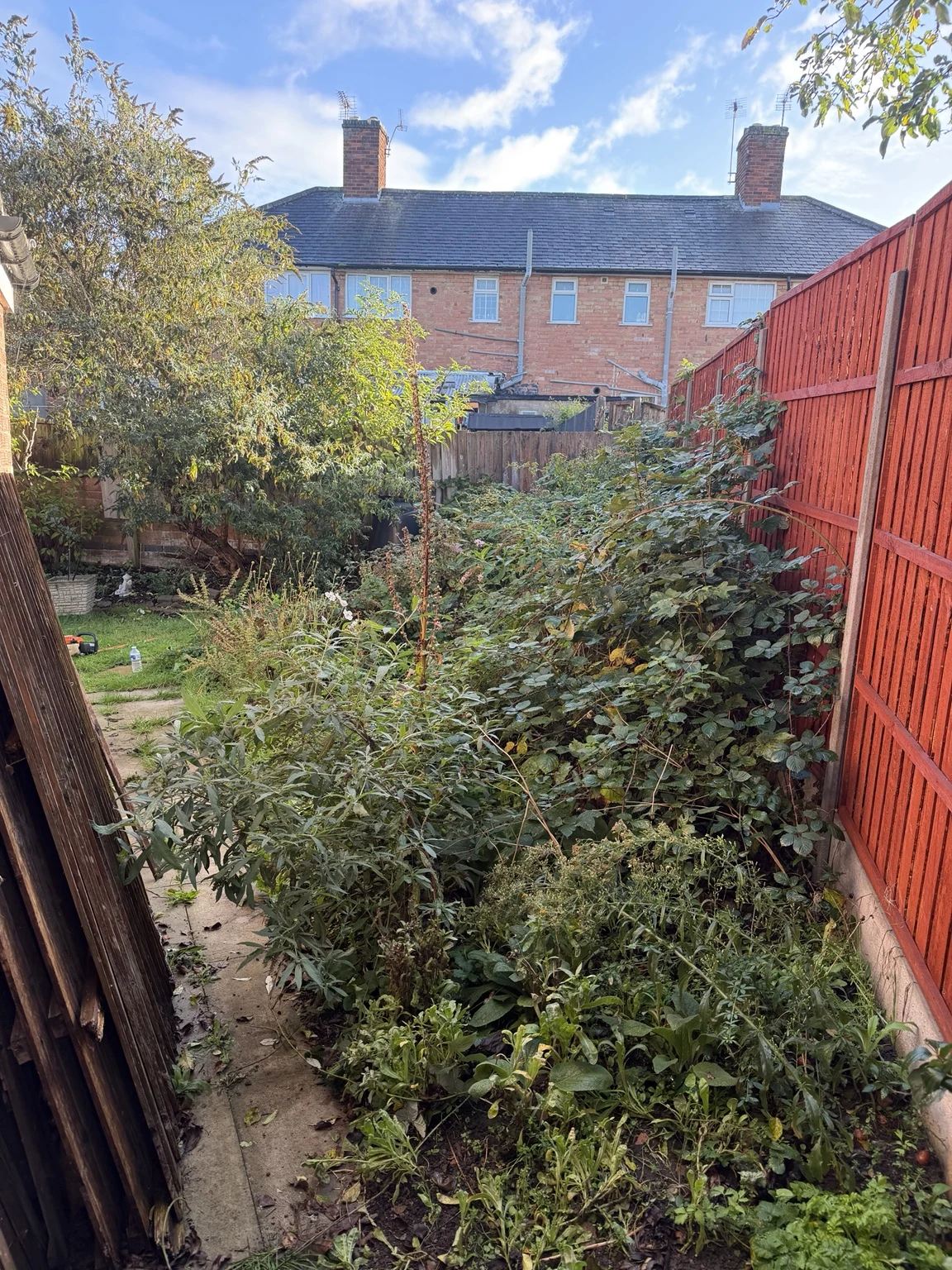 Before clearance: densely overgrown garden area beside the red fence in Oadby